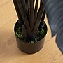 Nearly Natural Artificial Halloween Black Travelers Palm Tree, 6' (T5229)~#|#~6B24F457-D1C2-44AD-8B09B51A81427E0D_sc7