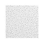 Armstrong GEORGIAN Beveled Tegular Edge Ceiling Tile, 24" x 24", White, 16/Carton (BP1753B)~#|#~6B683F47-2DE6-45CF-AE687FD0EB7FD301_sc7