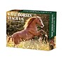2026 Willow Creek What Horses Teach Us 6.2" x 5.4" Day-to-Day Calendar (54529)~#|#~6B8A2EDE-54EB-4EE2-8107F6257DBD7B1C_sc7