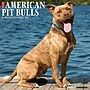 2027 Willow Creek American Pit Bull Terriers 12" x 12" Monthly Wall Calendar, Assorted Colors (58756)~#|#~6BD13F5C-7BE1-42B0-81BE4B52A220825C_sc7
