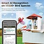 PerchMe Smart Bird Feeder with Camera, Vermilion Canopy (SF-BF-VC01)~#|#~6BE7F8AE-BF54-483A-B5E6C0DF4940BE37_sc7