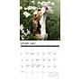 2026 Willow Creek Beagle Puppies 12" x 12" Monthly Wall Calendar (50132)~#|#~6BED8842-68A6-4057-8133BD87364F7C12_sc7