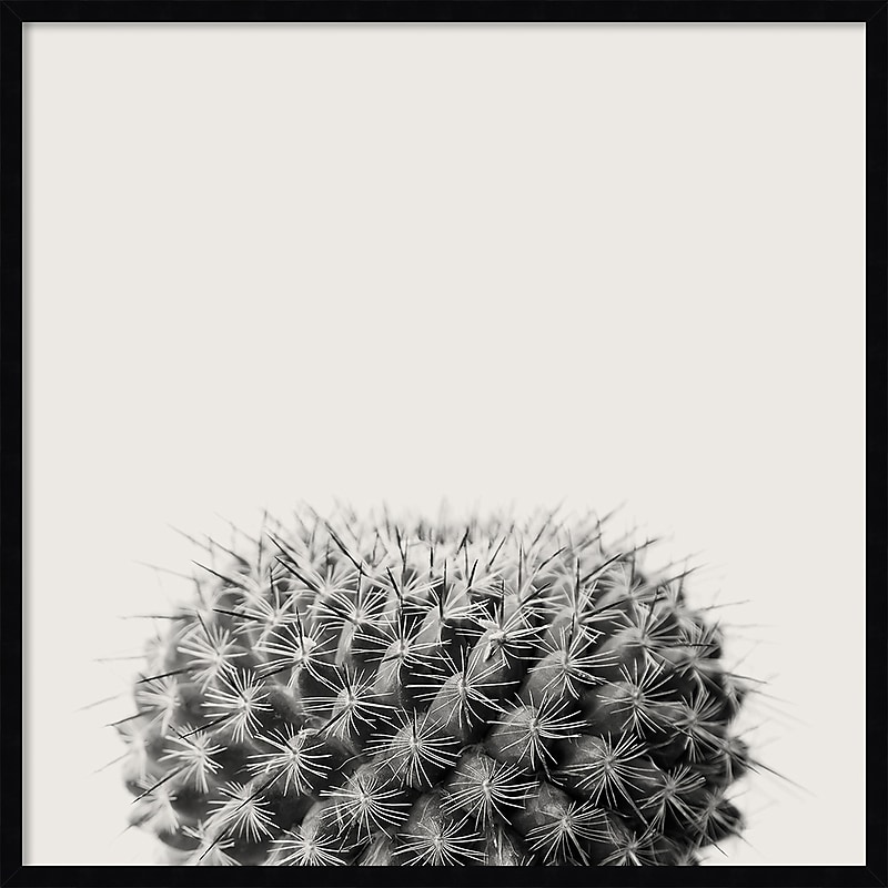 Amanti Art Haze Cactus Succulent by The Creative Bunch Studio Wood Framed Wall Art Print, 33" x 33" (A42675345780) image 1