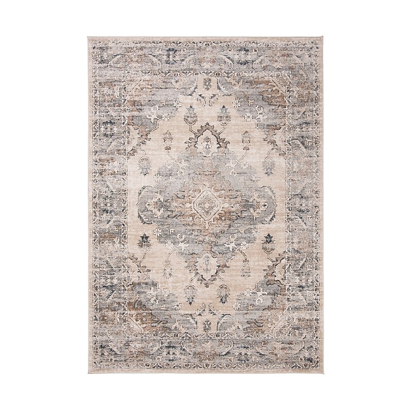 Safavieh Oregon Collection 6'7" x 9' Rectangle Indoor Area Rug, Machine Made, Beige/Grey (ORE898B-6) image 1