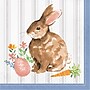 Creative Converting Cottage Easter Bunny Paper Plates and Napkins Kit, Serves 16 (DTC9199E2G)~#|#~6C28019C-A3F8-4C60-A2CD825B207F682C_sc7