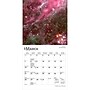 2027 BrownTrout Hubble Space Telescope 7" x 7" Monthly Wall Calendar (9798330709656)~#|#~6C2E852E-FCA6-4FBD-A4EFA17C7CF5FC53_sc7