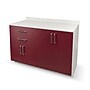 Viva Comfort 36.32'' H x 48" L Exam Room Medical Cabinet, 4-Doors, 2-Drawers, Claret (902BASE48NSCL)~#|#~6C37543C-2DB8-4F2A-B49058A0B5020A51_sc7