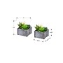 Monarch Specialties Inc. 8" Artificial Succulent Plant in Pot, 2/Set (I 9370)~#|#~6C378B2A-6048-48AC-AD9BD7F51841AF70_sc7