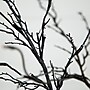 Nearly Natural 5' Pre-Lit Halloween Deluxe Black Twig Artificial Fall Tree with 102 Orange and Purple LED Lights (T4758)~#|#~2D28F5AD-30FF-487D-B610A639589EF6F2_sc7