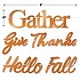 Beistle Fall Thanksgiving Foil Streamer Set, Rose Gold, 2/Pack (99155)~#|#~6C5896CF-728F-4207-94EC2584928CDD73_sc7