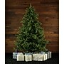 Fraser Hill Farm 9-Ft. Foxtail Pine Artificial Christmas Tree (FFFX090-0GR)~#|#~6C5AEE99-6F3B-4992-8B46E7642AB5D0F2_sc7