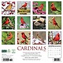 2026 Willow Creek Cardinals 12" x 12" Monthly Wall Calendar (50552)~#|#~6C68E236-3E77-45BA-82CC9D598B72854D_sc7