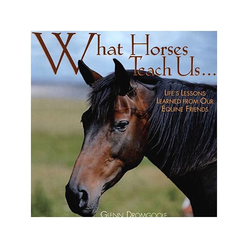 What Horses Teach Us, Hardcover image 1