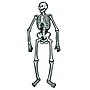 Beistle Halloween Jointed Skeletons Cutouts, Black/White, 4/Pack (01084)~#|#~6C79B782-DB9E-45C3-AE7969B14F910F10_sc7