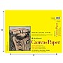 Strathmore 300 Series 12" x 16" Canvas Paper Pad, 10 Sheets/Pad (STTP310121)~#|#~6C8C9C2B-03A6-41D9-A8A0C6FCE6C132CD_sc7