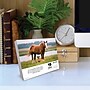 2026 Willow Creek What Horses Teach Us 6.2" x 5.4" Day-to-Day Calendar (54529)~#|#~6CA4CC16-3DFC-4B44-B02455E3697B0511_sc7