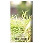 2026-2027 TF Publishing Dog 3.5" x 6.5" Monthly, Paperboard Cover, Multicolored (26-7016)~#|#~6CA8847D-4C41-4CA6-94EE1F37DA4CE3FE_sc7