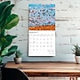 2026 BrownTrout Nebraska Wild & Scenic 12" x 12" Monthly Wall Calendar (9798330704811)~#|#~6CB97838-FCA0-4956-8D9CAA3527ABC841_sc7