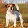 2027 Willow Creek Jack Russells 12" x 12" Monthly Wall Calendar (60834)~#|#~6CBF74A8-A88B-42F4-AA4A291528D96BFB_sc7
