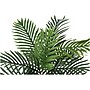 Monarch Specialties Inc. Palm in Basket (I 9503)~#|#~6CC6C466-CCA1-4FBF-A5606F69F1382689_sc7