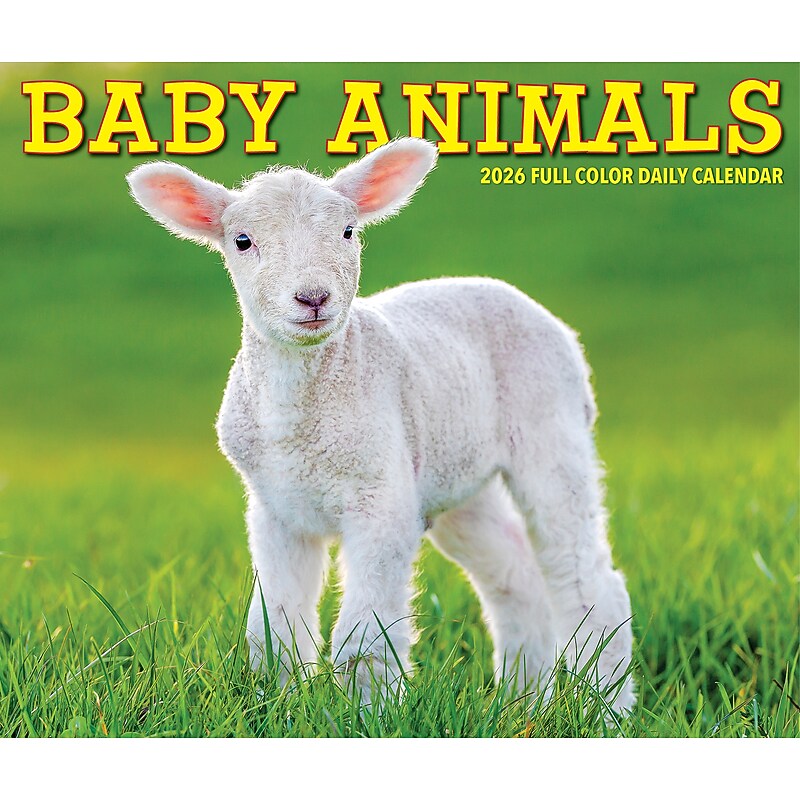 2026 Willow Creek Baby Animals 6.2" x 5.4" Day-to-Day Calendar (53928) image 1