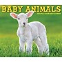 2026 Willow Creek Baby Animals 6.2" x 5.4" Day-to-Day Calendar (53928)~#|#~6CE1905C-A980-433A-A55C5CE8C3E4B43F_sc7