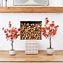 Nearly Natural 4' Autumn Rustic Maple Artificial Fall Tree (T4829)~#|#~6CE59193-2BF9-4DF3-A887F7593533C917_sc7