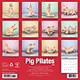 2026 Willow Creek Pig Pilates 12" x 12" Monthly Wall Calendar (52389)~#|#~6CE655B8-86A0-4F8A-930B07E9AFFAE867_sc7