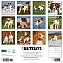 2026 Willow Creek Brittanys 12" x 12" Monthly Wall Calendar (50385)~#|#~6CE7E851-5C7D-4250-A36CDCA1F5342082_sc7