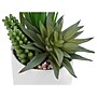 Monarch Specialties Inc. Succulents in Pots, 2/Pack (I 9588)~#|#~6CE8C3D6-8988-45B7-A64E41472E7D237A_sc7