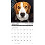 2026 Willow Creek Beagle Rules 12" x 12" Monthly Wall Calendar (50149)~#|#~6CEC1E56-8D08-4D49-9DF7403C25DA73BC_sc7