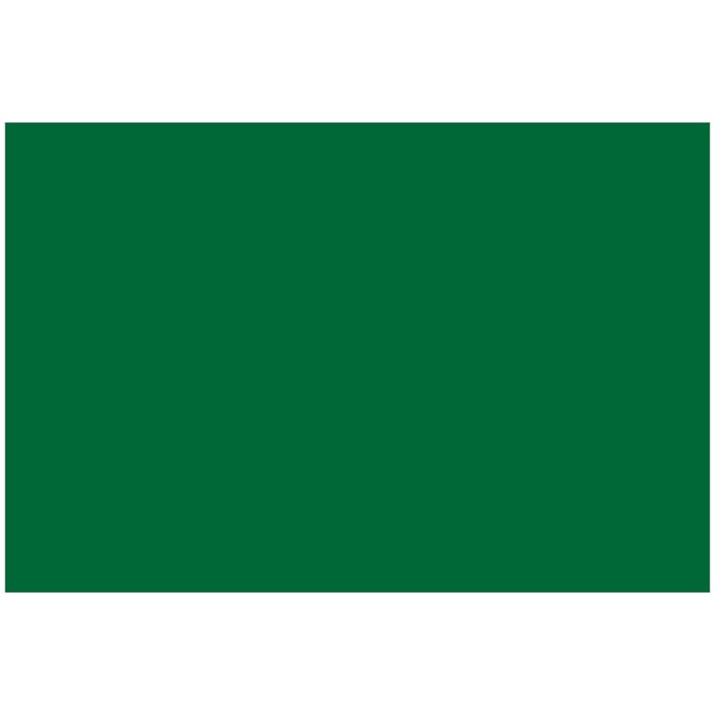Decker Tape Inventory Labels, 4" x 6", Standard Green, 500/Roll (DL6351-SG) image 1