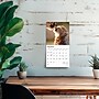 2026 BrownTrout Baby Animals 7" x 7" Monthly Wall Calendar (9798330702237)~#|#~6D1B56BC-C735-4AB9-A53120A001721386_sc7