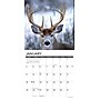 2026 Willow Creek Monster Bucks 12" x 12" Monthly Wall Calendar (51993)~#|#~6D311C1F-88A4-436C-8FAD71C505004EC2_sc7