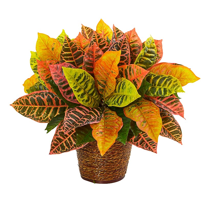 Nearly Natural Garden Croton in Basket (8870) image 1