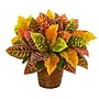 Nearly Natural Garden Croton in Basket (8870)~#|#~6D31FF09-5B05-4DB2-A35CD2EFB284079E_sc7