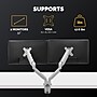 Fellowes Platinum Series Adjustable Dual Arms, Up to 40" Monitor, Silver (8056501)~#|#~6D3313F2-A340-470C-8DA9AC5BFCE59C23_sc7