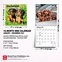 2027 BrownTrout Dachshund Puppies 7" x 7" Monthly Wall Calendar, Assorted Colors (9798330709977)~#|#~6D3E679C-AA2E-410D-B2D523034A7880E6_sc7