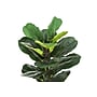 Monarch Specialties Inc. 28" Artificial Fiddle Tree in Basket (I 9505)~#|#~6D40BF39-C2C4-4B08-B6A7AE42CE383B91_sc7