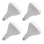 Viribright BR40 16 Watts Daylight LED Flood & Spot Bulb, 4/Pack (654656)~#|#~6D5009F3-B06B-4DE0-9DBADB1524FA49F0_sc7