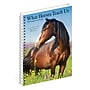 2027 Willow Creek What Horses Teach Us 6.5" x 8.5" Weekly & Monthly Desk Calendar (64474)~#|#~6D515278-127B-436A-A00E15C7E3B0D9D6_sc7