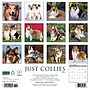 2026 Willow Creek Collies 12" x 12" Monthly Wall Calendar (50804)~#|#~6D6F12D0-1821-428E-878F3302F257F740_sc7