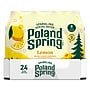 Poland Spring Lemon Sparkling Purified Water, 16.9 oz., 24/Carton (12349569/100965)~#|#~6D75EBA1-D3BB-4E54-9DBA390FCBF6D950_sc7