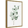 Amanti Art Tender Sprout II (Eucalyptus) by Eva Watts Framed Canvas Wall Art Print, 16" x 23" (A42675040761)~#|#~6D79639B-EA42-4032-AD6919875B54649A_sc7
