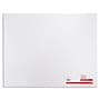 Staples Poster Board, 22" x 28" White, 10/Pack (28126)~#|#~6D8A0AA8-E773-4203-878D974D784C5694_sc7