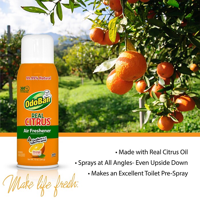 OdoBan Real Citrus Air Freshener Spray, 10 oz., Orange Scent