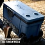 Ninja FrostVault 65-Qt. Wheeled Cooler with Cold Dry Zone, Lakeshore Blue (FB265BL)~#|#~6D931238-AD2A-4B74-BD884FE1577DE459_sc7