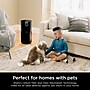 Shark Clean Sense MAX HEPA Tower Air Purifier, WiFi Enabled, Charcoal Grey (HP232)~#|#~6D948445-1FE0-4C58-A069E141AFCA92F6_sc7