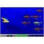 Individual Software Typing Instructor Gold, Windows for 1 User, Download (IND945800V054)~#|#~6D95B620-7CB7-4E04-BEED7365E92B602D_sc7