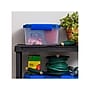 Iris WeatherPro 6.5 qt. Latch Lid Storage Bin, Clear/Blue (500198)~#|#~6DBDA054-843D-44E0-82D4B388D5787253_sc7